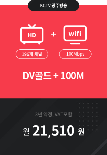 DV골드 196채널 + 인터넷 100M 21,510원