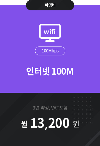 인터넷 100M 13,200원