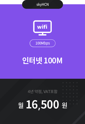 인터넷 100M 16,500원