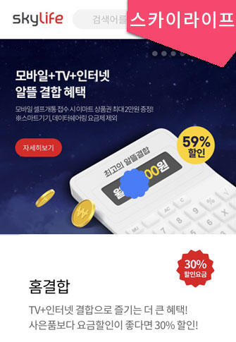 스카이라이프 홈페이지화면