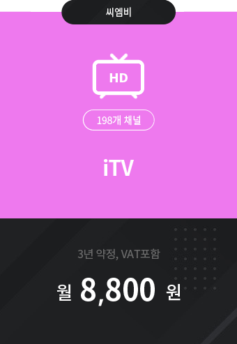 iTV 198채널 8,800원