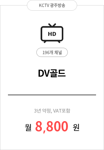DV골드 196채널 8,800원