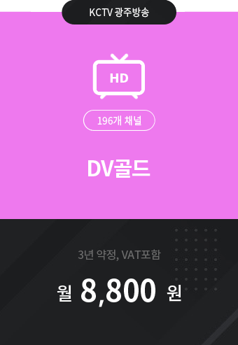 DV골드 196채널 8,800원