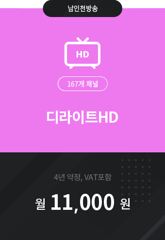 디라이트HD 167채널 11,000원